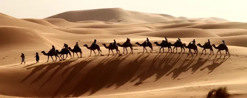 03 Days Morocco Sahara Desert  Tours